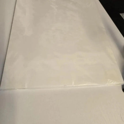 13 x 19 (33 CM X 50 CM) COWINT DTF Transfer Film Sheets (HOT PEEL) DTG / DIRECT TO FILM INK COMPATIBLE, white sheets flat